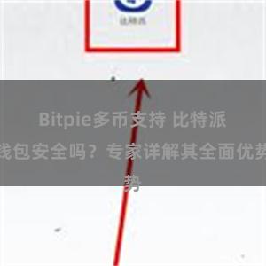 Bitpie多币支持 比特派钱包安全吗？专家详解其全面优势