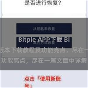 Bitpie APP下载 Bitpie钱包最新版本下载教程及功能亮点，尽在一篇文章中详解