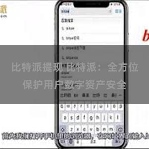 比特派提现 比特派：全方位保护用户数字资产安全