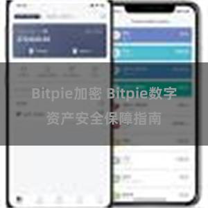 Bitpie加密 Bitpie数字资产安全保障指南