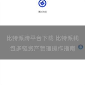 比特派跨平台下载 比特派钱包多链资产管理操作指南