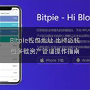 Bitpie钱包地址 比特派钱包多链资产管理操作指南