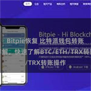 Bitpie恢复 比特派钱包转账教程详解，快速了解BTC/ETH/TRX转账操作