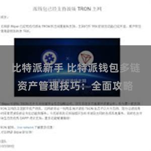 比特派新手 比特派钱包多链资产管理技巧：全面攻略