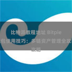 比特派教程地址 Bitpie钱包使用技巧：多链资产管理全攻略