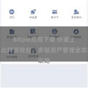 Bitpie应用下载 快速上手比特派钱包，多链资产管理全攻略