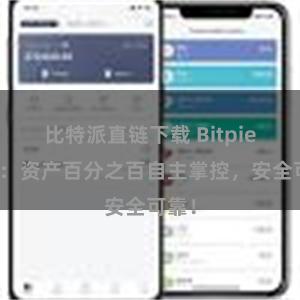 比特派直链下载 Bitpie钱包：资产百分之百自主掌控，安全可靠！