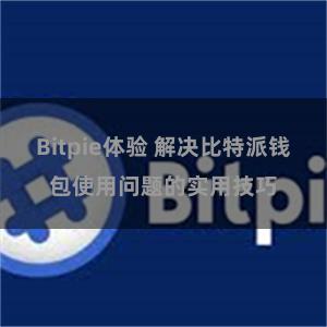 Bitpie体验 解决比特派钱包使用问题的实用技巧