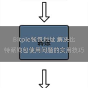 Bitpie钱包地址 解决比特派钱包使用问题的实用技巧