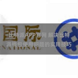 比特派APP官网 解决比特派钱包使用问题的实用技巧