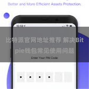 比特派官网地址推荐 解决Bitpie钱包常见使用问题