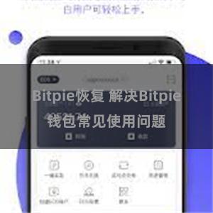 Bitpie恢复 解决Bitpie钱包常见使用问题