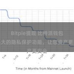 Bitpie提现 比特派钱包：强大的隐私保护功能，让您资产更安全