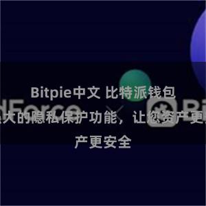 Bitpie中文 比特派钱包：强大的隐私保护功能，让您资产更安全