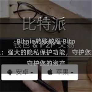 Bitpie转账教程 Bitpie钱包：强大的隐私保护功能，守护您的资产