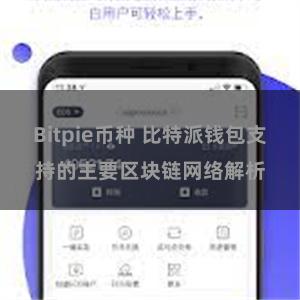 Bitpie币种 比特派钱包支持的主要区块链网络解析