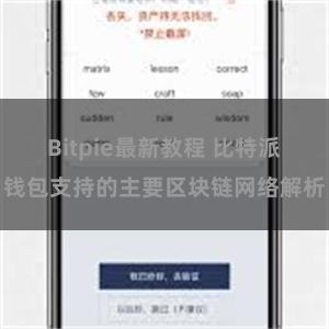 Bitpie最新教程 比特派钱包支持的主要区块链网络解析