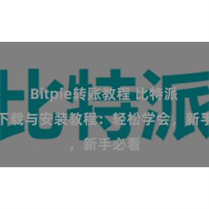 Bitpie转账教程 比特派钱包下载与安装教程：轻松学会，新手必看