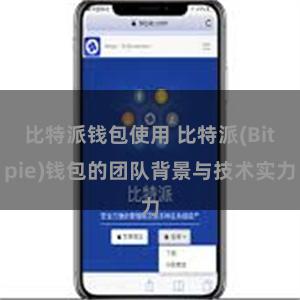 比特派钱包使用 比特派(Bitpie)钱包的团队背景与技术实力