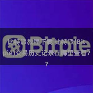 比特派教程下载 比特派(Bitpie)交易历史记录在哪里查看？