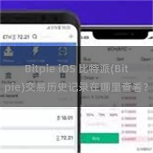 Bitpie iOS 比特派(Bitpie)交易历史记录在哪里查看？