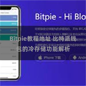 Bitpie教程地址 比特派钱包的冷存储功能解析