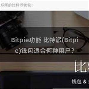 Bitpie功能 比特派(Bitpie)钱包适合何种用户？