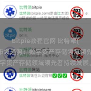 Bitpie教程官网 比特派(Bitpie)钱包市场趋势：数字资产存储领域领先者持续发展。