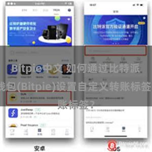 Bitpie中文 如何通过比特派钱包(Bitpie)设置自定义转账标签？